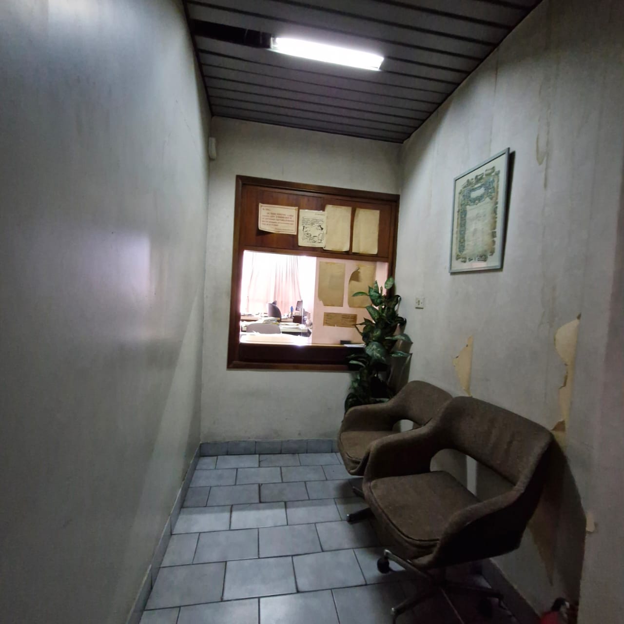 Imagen 3