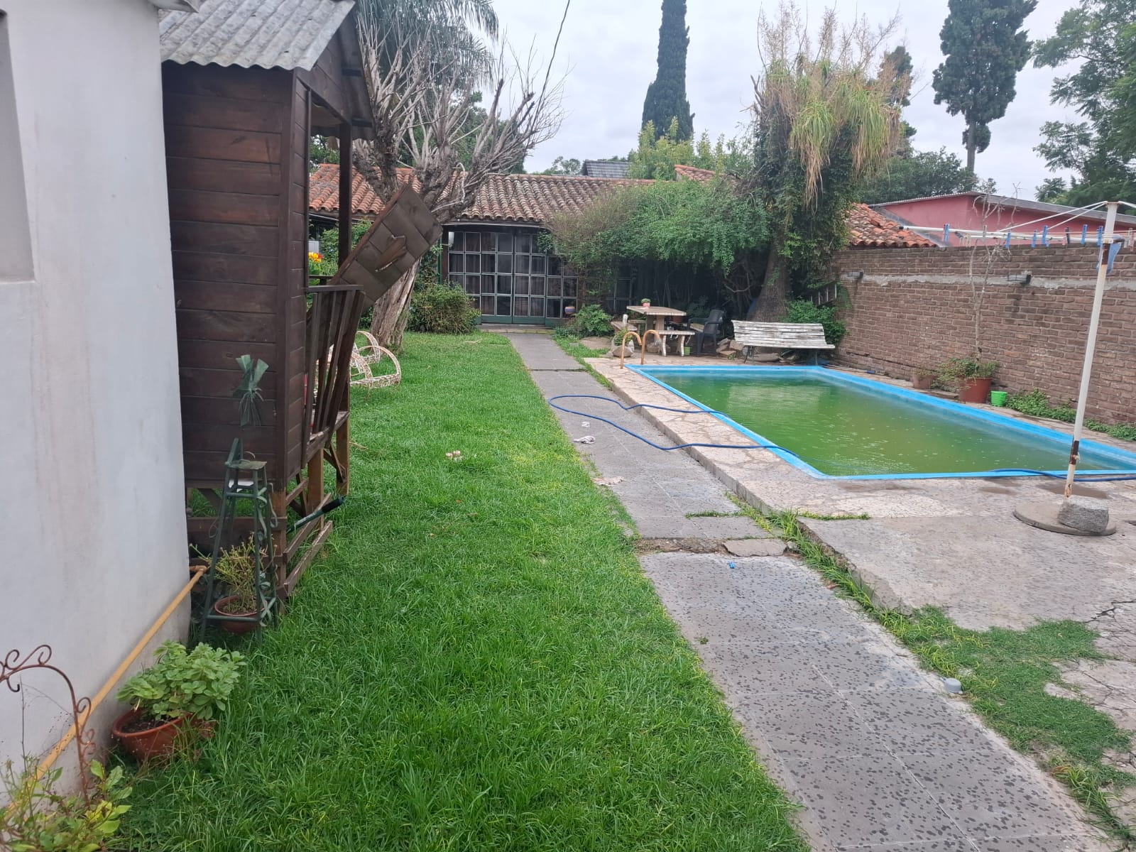Imagen 15