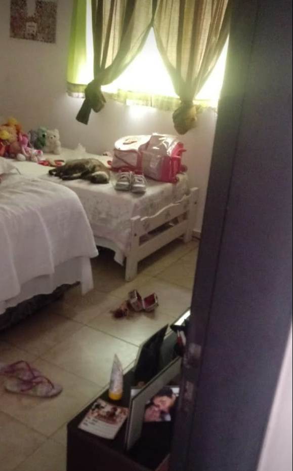 Imagen 10
