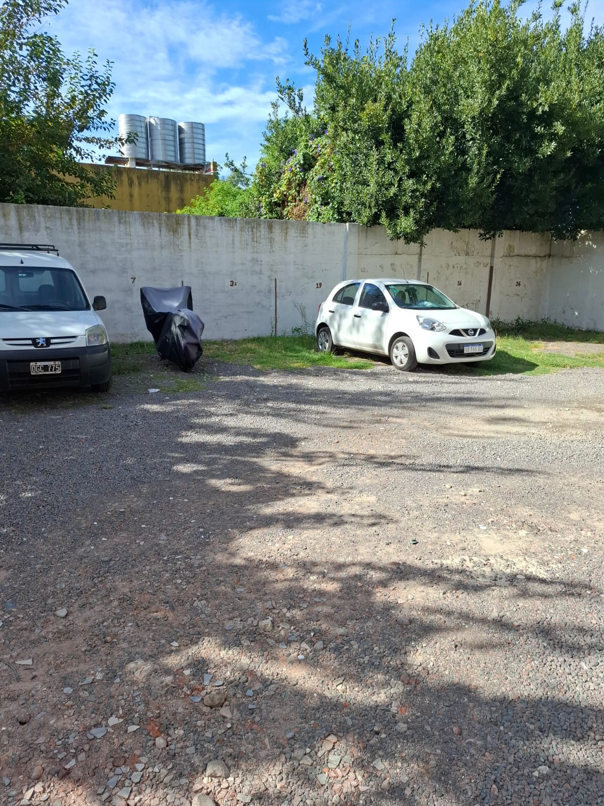 Imagen 5