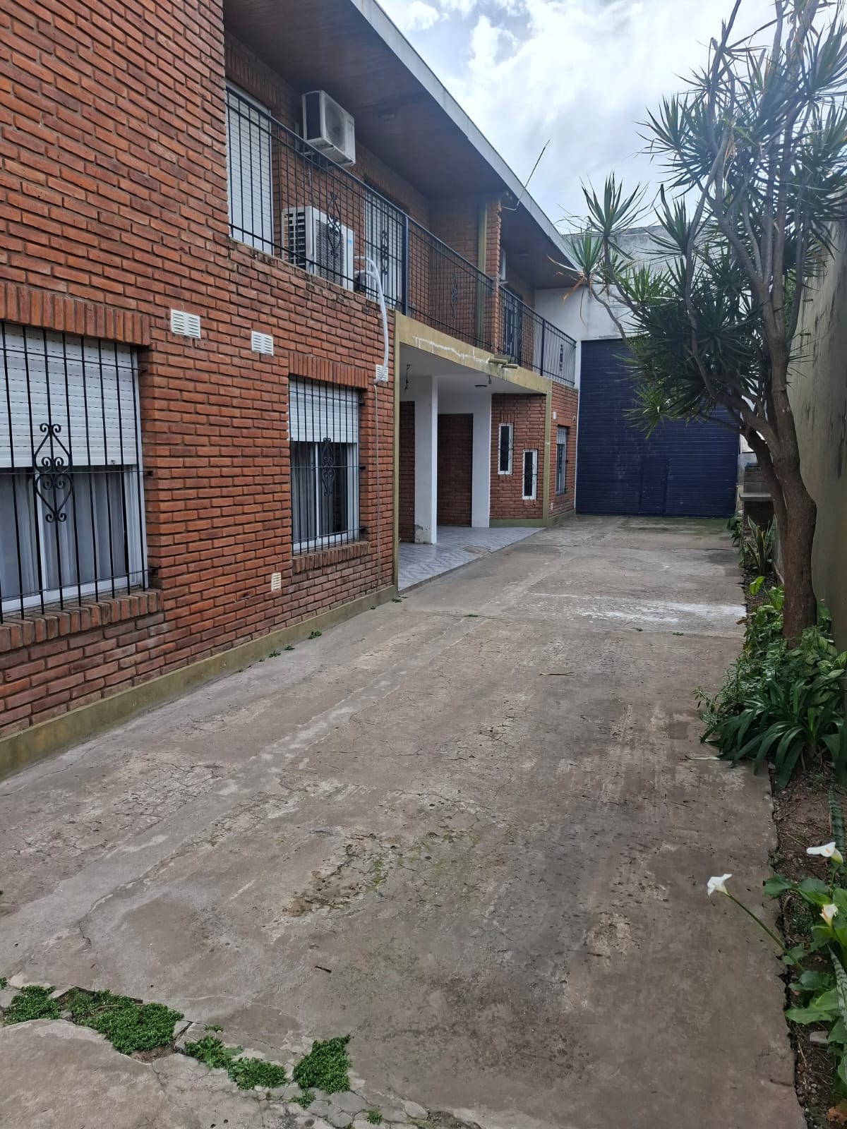 Imagen 1