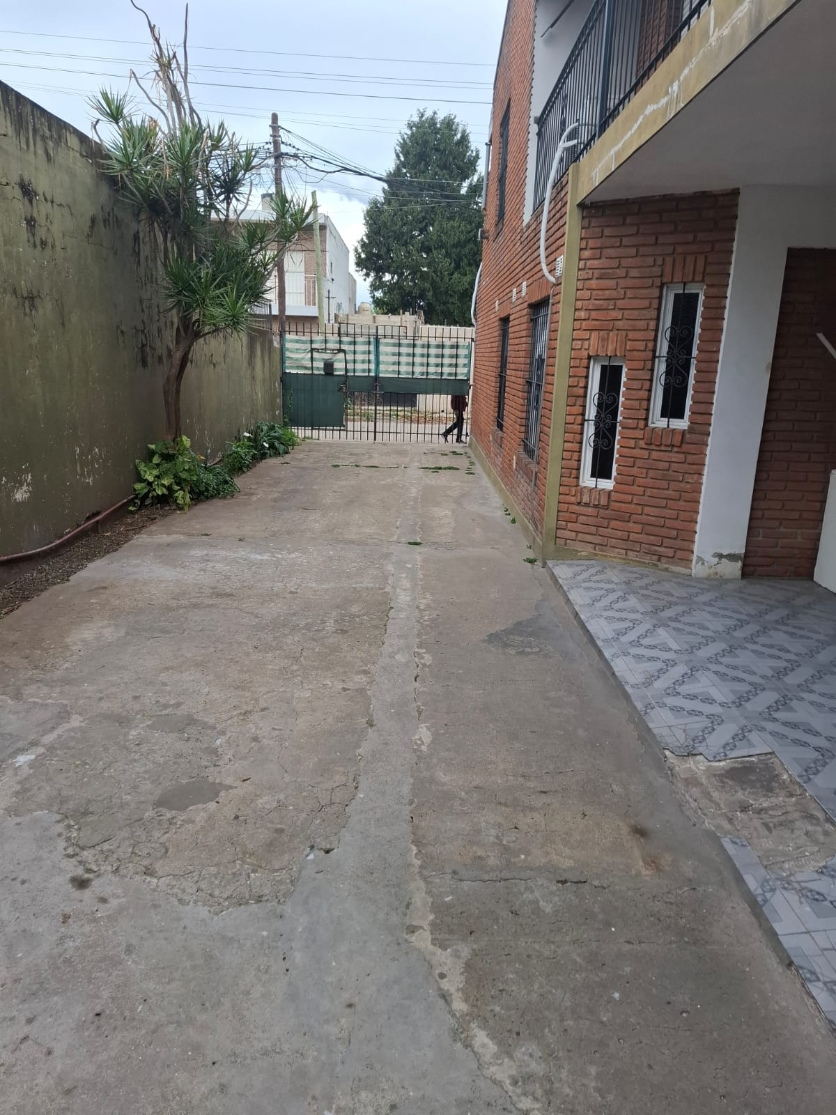 Imagen 2