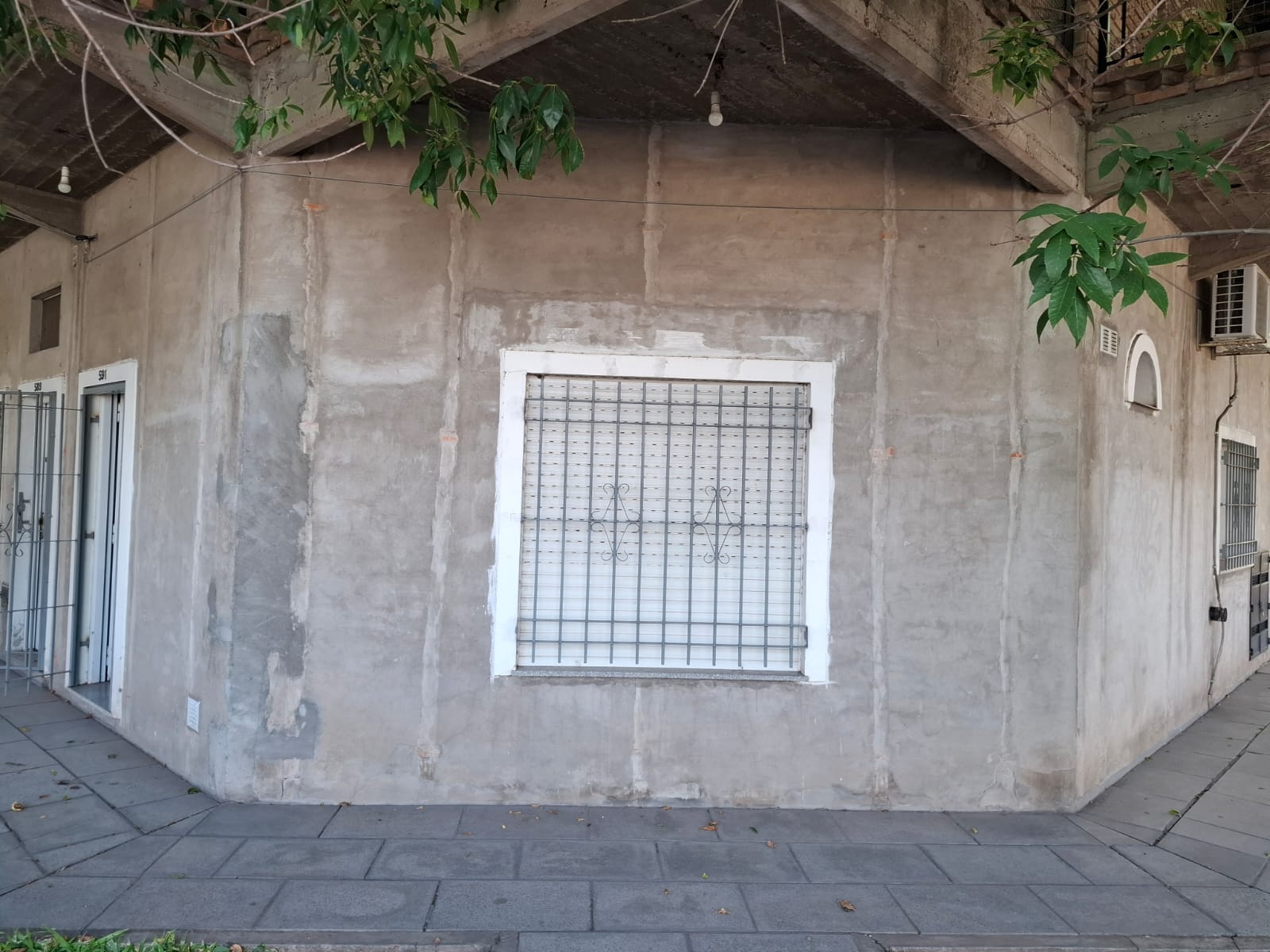 Imagen 6